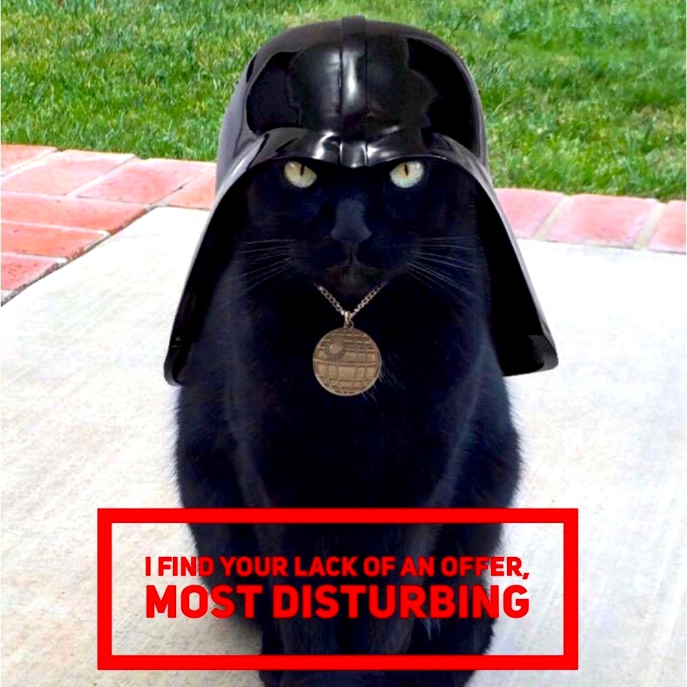 Don’t make Darth Cat angry, make me an offer!